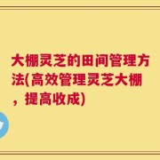大棚灵芝的田间管理方法(高效管理灵芝大棚，提高收成)