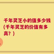 千年灵芝小的值多少钱(千年灵芝的价值有多高？)
