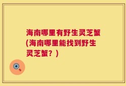 海南哪里有野生灵芝蟹(海南哪里能找到野生灵芝蟹？)