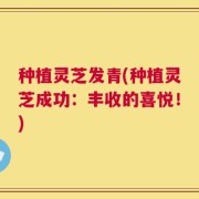 种植灵芝发青(种植灵芝成功：丰收的喜悦！)
