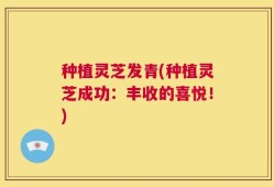 种植灵芝发青(种植灵芝成功：丰收的喜悦！)