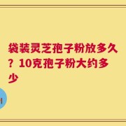 袋装灵芝孢子粉放多久？10克孢子粉大约多少
