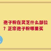 孢子粉在灵芝什么部位？正宗孢子粉哪里买