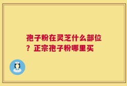 孢子粉在灵芝什么部位？正宗孢子粉哪里买