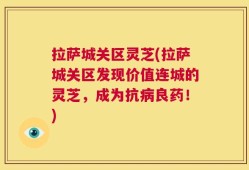 拉萨城关区灵芝(拉萨城关区发现价值连城的灵芝，成为抗病良药！)