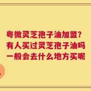 粤微灵芝孢子油加盟？有人买过灵芝孢子油吗一般会去什么地方买呢