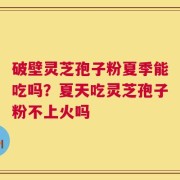 破壁灵芝孢子粉夏季能吃吗？夏天吃灵芝孢子粉不上火吗