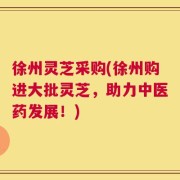 徐州灵芝采购(徐州购进大批灵芝，助力中医药发展！)