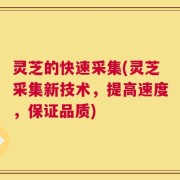 灵芝的快速采集(灵芝采集新技术，提高速度，保证品质)