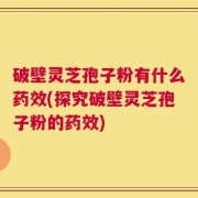 破壁灵芝孢子粉有什么药效(探究破壁灵芝孢子粉的药效)