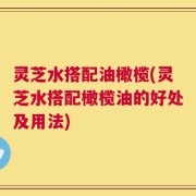 灵芝水搭配油橄榄(灵芝水搭配橄榄油的好处及用法)