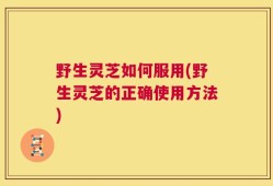 野生灵芝如何服用(野生灵芝的正确使用方法)