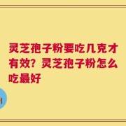 灵芝孢子粉要吃几克才有效？灵芝孢子粉怎么吃最好
