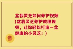 盆栽灵芝如何养护视频(盆栽灵芝养护教程视频，让你轻松打造一盆健康的小灵芝！)