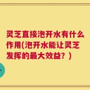 灵芝直接泡开水有什么作用(泡开水能让灵芝发挥的最大效益？)