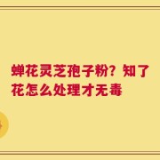蝉花灵芝孢子粉？知了花怎么处理才无毒