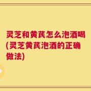 灵芝和黄芪怎么泡酒喝(灵芝黄芪泡酒的正确做法)