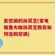 卖空调的孙灵芝(家电销售大咖孙灵芝教你如何选购空调)