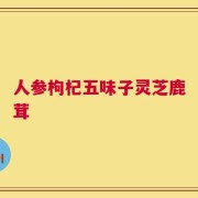 人参枸杞五味子灵芝鹿茸