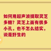 如何用超声波提取灵芝多糖？灵芝上面有很多小孔，也不怎么结实，说是野生的