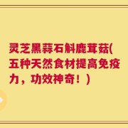灵芝黑蒜石斛鹿茸菇(五种天然食材提高免疫力，功效神奇！)