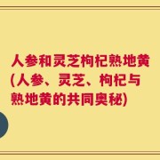 人参和灵芝枸杞熟地黄(人参、灵芝、枸杞与熟地黄的共同奥秘)