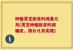 种植灵芝脱贫时间是几月(灵芝种植脱贫时间确定，预计几月实现)