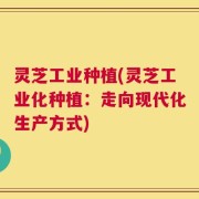 灵芝工业种植(灵芝工业化种植：走向现代化生产方式)