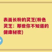 表面长粉的灵芝(粉色灵芝：那些你不知道的健康秘密)