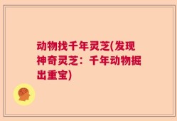 动物找千年灵芝(发现神奇灵芝：千年动物掘出重宝)