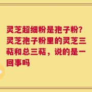 灵芝超细粉是孢子粉？灵芝孢子粉里的灵芝三萜和总三萜，说的是一回事吗