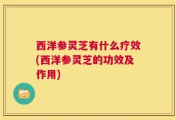西洋参灵芝有什么疗效(西洋参灵芝的功效及作用)