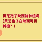 灵芝孢子陕西能种植吗(灵芝孢子在陕西可否种植？)