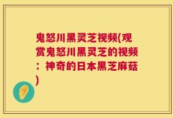 鬼怒川黑灵芝视频(观赏鬼怒川黑灵芝的视频：神奇的日本黑芝麻菇)