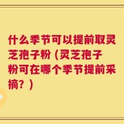 什么季节可以提前取灵芝孢子粉 (灵芝孢子粉可在哪个季节提前采摘？)