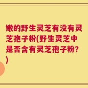 嫩的野生灵芝有没有灵芝孢子粉(野生灵芝中是否含有灵芝孢子粉？)