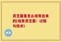 灵芝菌是怎么培育出来的(培育灵芝菌：过程与技术)