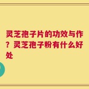 灵芝孢子片的功效与作？灵芝孢子粉有什么好处