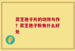 灵芝孢子片的功效与作？灵芝孢子粉有什么好处