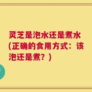 灵芝是泡水还是煮水 (正确的食用方式：该泡还是煮？)