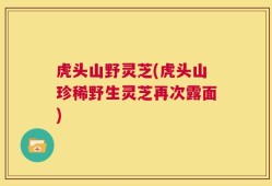 虎头山野灵芝(虎头山珍稀野生灵芝再次露面)