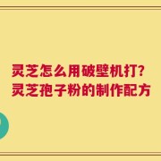 灵芝怎么用破壁机打？灵芝孢子粉的制作配方