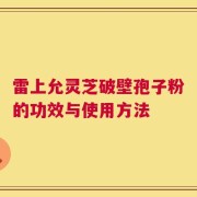 雷上允灵芝破壁孢子粉的功效与使用方法