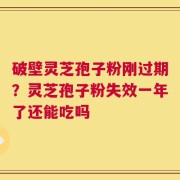 破壁灵芝孢子粉刚过期？灵芝孢子粉失效一年了还能吃吗