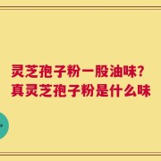 灵芝孢子粉一股油味？真灵芝孢子粉是什么味