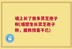 墙上长了很多灵芝孢子粉(墙壁生长灵芝孢子粉，居民惊喜不已)