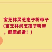 宝芝林灵芝孢子粉带子(宝芝林灵芝孢子粉带，健康必备！)