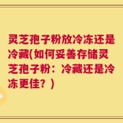灵芝孢子粉放冷冻还是冷藏(如何妥善存储灵芝孢子粉：冷藏还是冷冻更佳？)
