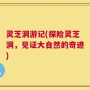 灵芝洞游记(探险灵芝洞，见证大自然的奇迹)