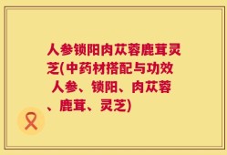 人参锁阳肉苁蓉鹿茸灵芝(中药材搭配与功效 人参、锁阳、肉苁蓉、鹿茸、灵芝)